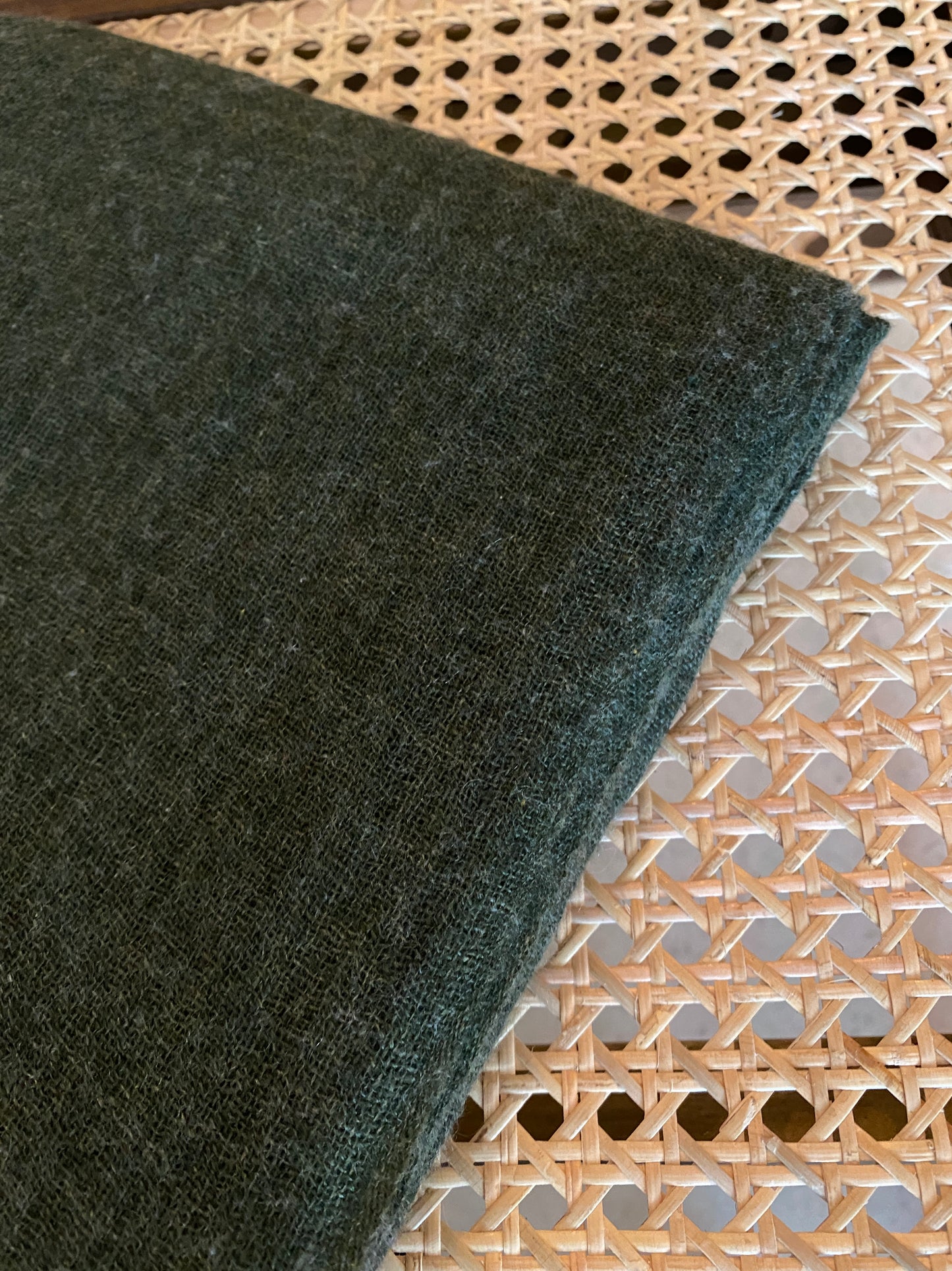 Capulet olive gauze cashmere scarf